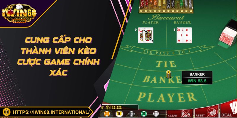Cung cấp cho thành viên kèo cược game chính xác