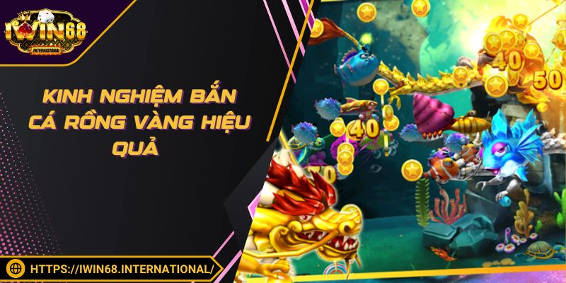 Kinh nghiệm bắn cá rồng vàng hiệu quả