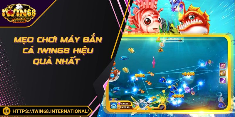 Mẹo chơi máy bắn cá IWIN68 hiệu quả nhất
